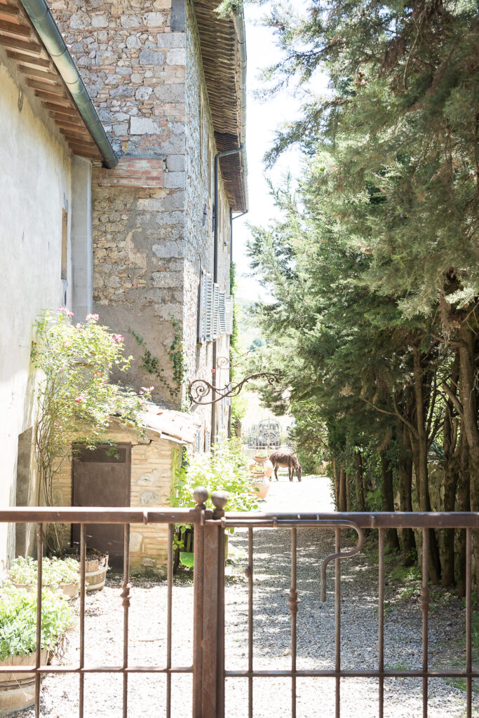Fattoria San Donato - Hamburger Quiddje auf Reisen