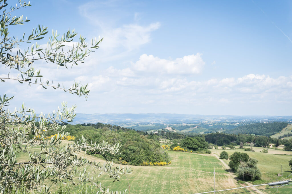 Fattoria San Donato - Hamburger Quiddje auf Reisen