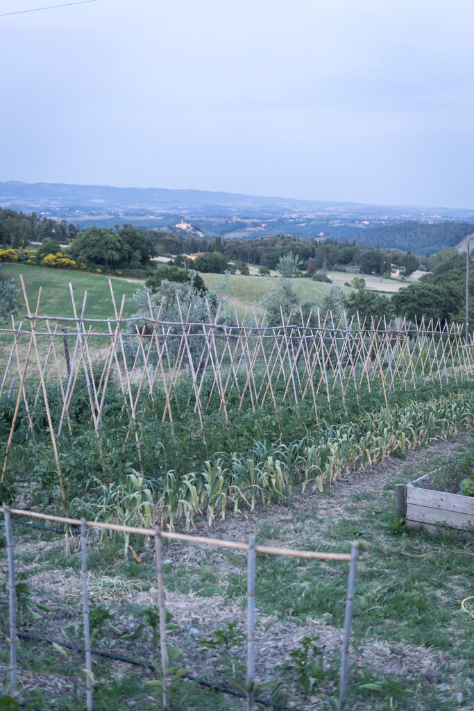 Fattoria San Donato - Hamburger Quiddje auf Reisen