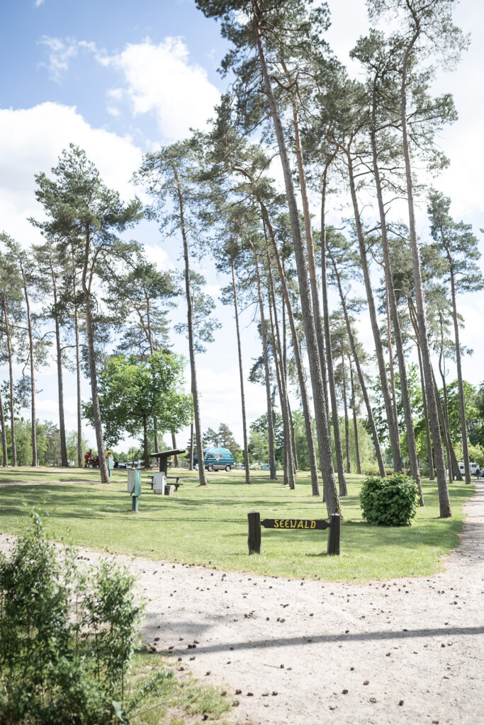 Südseecamp Lüneburger Heide Südseecamp Lüneburger Heide
